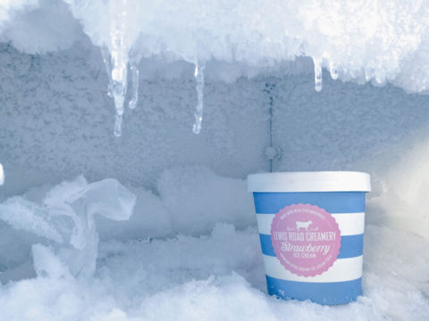 HOW TO DEFROST A FRIDGE FREEZER