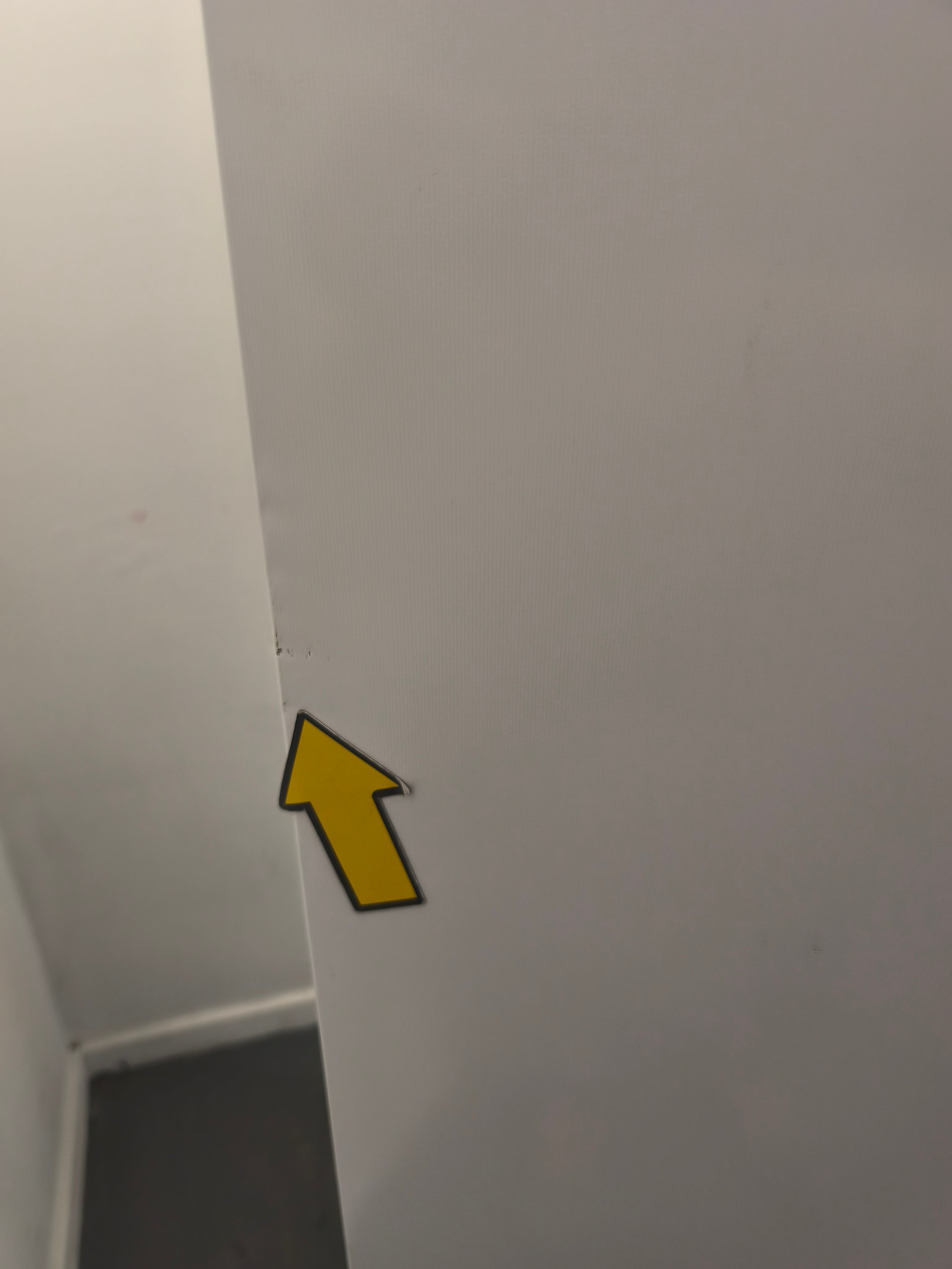 Lec Tall Laboratory Freezer LSFSF312BT 312 Litre Bluetooth White GRADE B